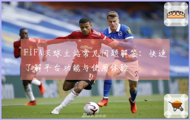 FIFA买球主站常见问题解答：快速了解平台功能与使用体验