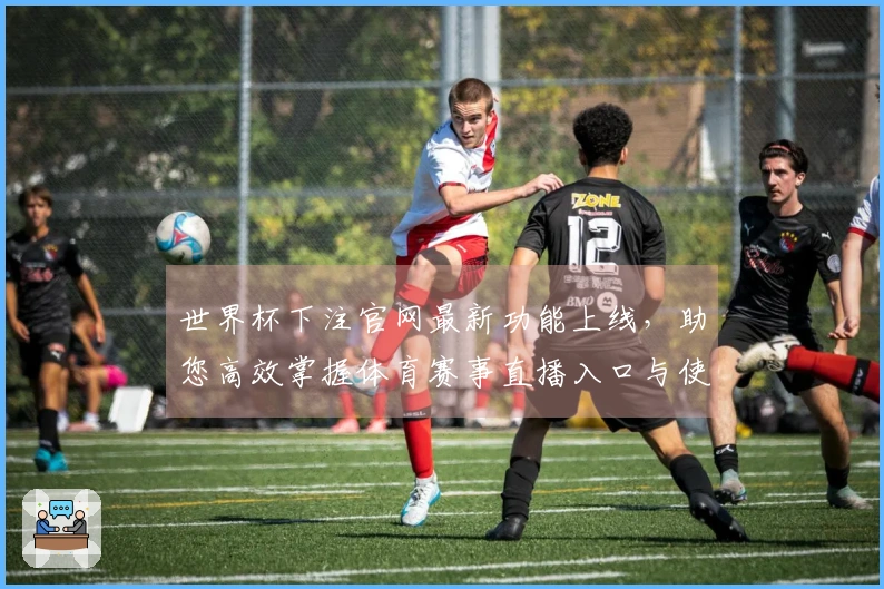 世界杯下注官网最新功能上线，助您高效掌握体育赛事直播入口与使用体验