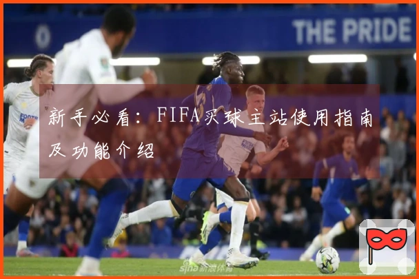 新手必看：FIFA买球主站使用指南及功能介绍