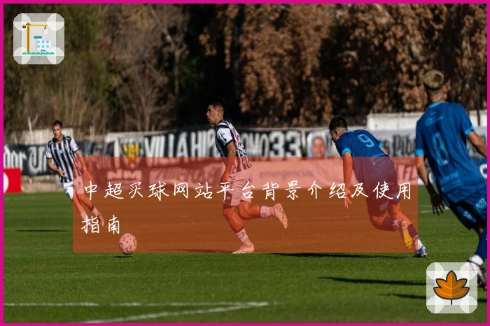 中超买球网站平台背景介绍及使用指南