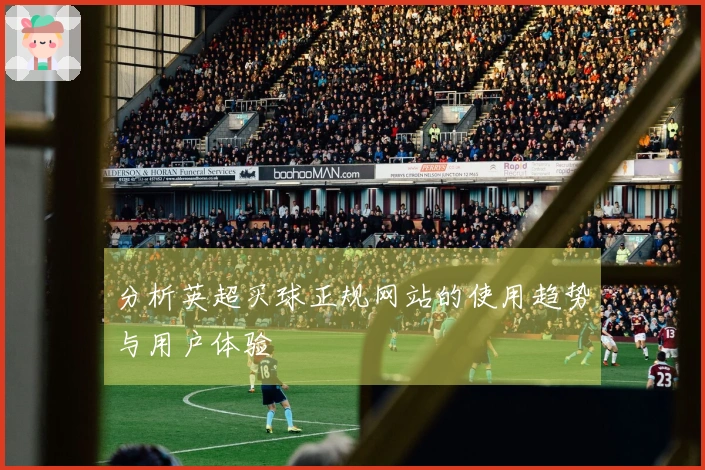 分析英超买球正规网站的使用趋势与用户体验