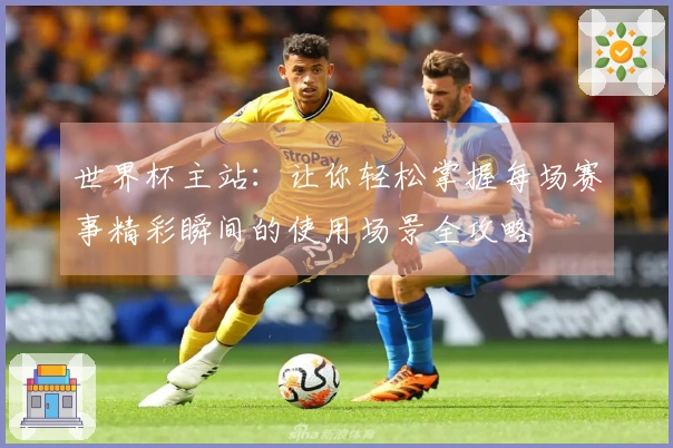 世界杯主站：让你轻松掌握每场赛事精彩瞬间的使用场景全攻略