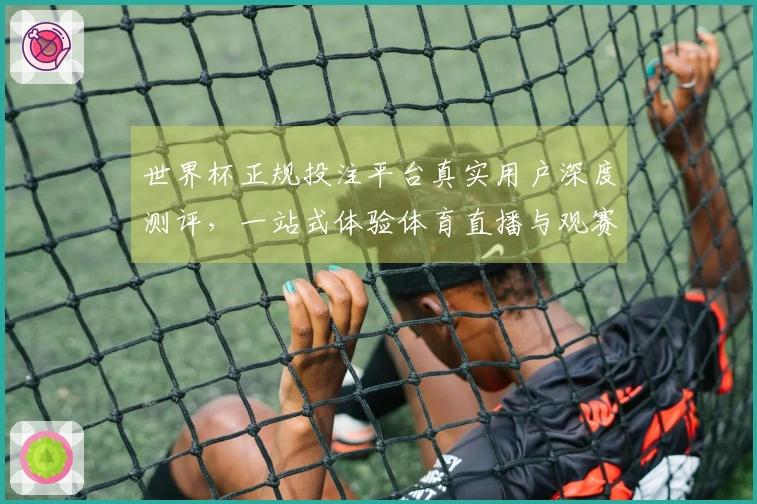 世界杯正规投注平台真实用户深度测评，一站式体验体育直播与观赛指南