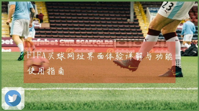 FIFA买球网址界面体验详解与功能使用指南
