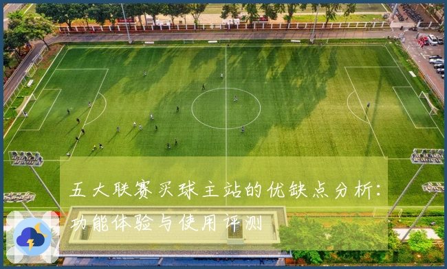 五大联赛买球主站的优缺点分析：功能体验与使用评测