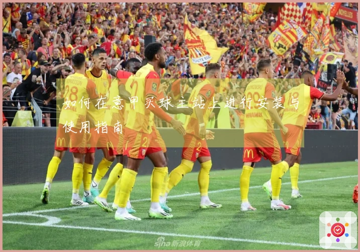 如何在意甲买球主站上进行安装与使用指南